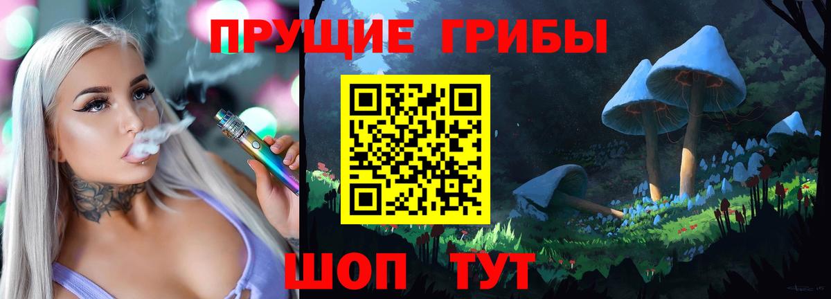 Элиста  Псилоцибиновые грибы MAGIC MUSHROOMS  наркотики  Вход с VPN  Псилоцибиновые грибы Psilocybine cubensis 