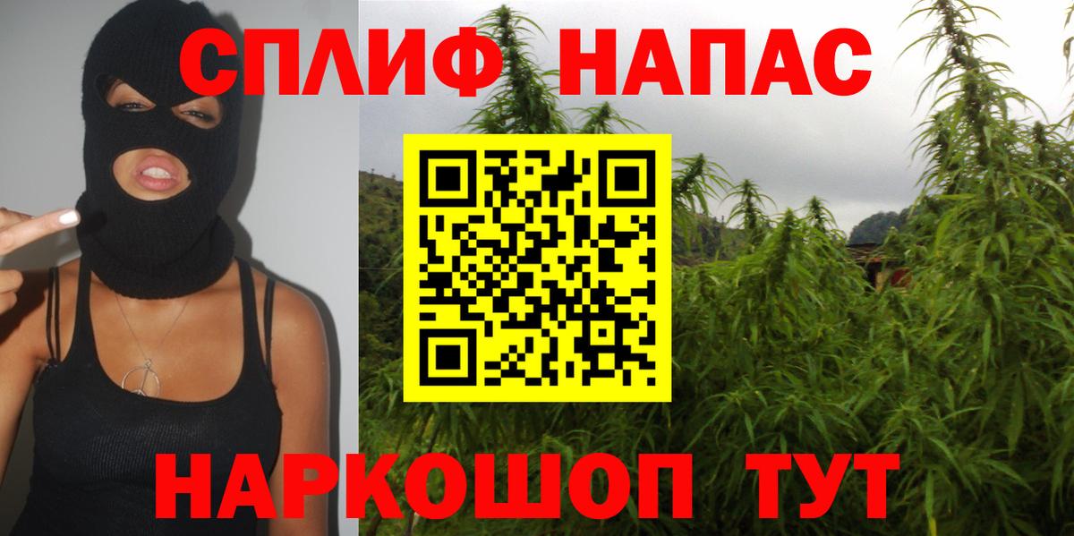 Элиста  МАРИХУАНА VHQ  Вход с VPN  Каннабис LSD WEED  МАРИХУАНА AK-47  Бошки марихуана OG Kush 